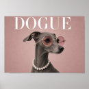 Buscar galgos posters Para todos