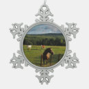 Buscar vientos adornos Campo