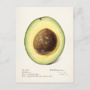 Buscar plantas de jardín postales Vintage