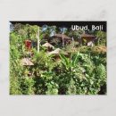 Buscar plantas tropicales postales Para todos