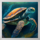 Buscar tortuga marina posters Casa de playa