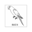 Buscar loro manualidades Pájaro