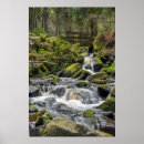 Buscar distrito posters Naturaleza