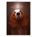 Buscar hélice Límites basset