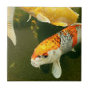 Buscar goldfish azulejos Carpa
