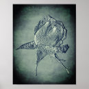 Buscar rosa y plata posters Botánico