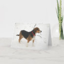 Buscar perro del beagle tarjetas Nieve