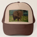 Buscar elefante gorras Animal