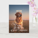 Buscar mascotas tarjetas codolencias Lo siento
