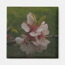 Buscar sakura imanes Floral