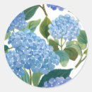 Buscar arbusto pegatinas Azul