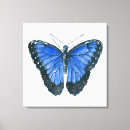 Buscar acuarela azul lienzos Mariposa