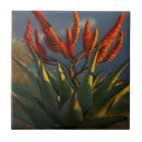 Buscar color plano azulejos Imagen de color