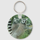 Buscar lemur llaveros Lindo