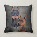 Buscar miniatura cojines Pinscher
