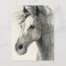 Buscar caballo abstracto postales Blanco