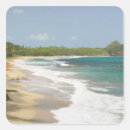 Buscar granadas pegatinas Naturaleza