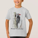 Buscar pileated Fauna