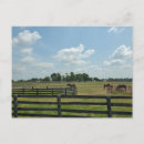 Buscar lexington kentucky postales Caballo