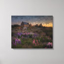 Buscar lavanda lienzos Paisaje