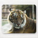 Buscar negro y naranja alfombrillas de raton General y unisex