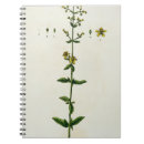 Buscar herbario cuadernos Blackwell