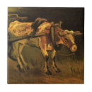 Buscar buey azulejos Ganado