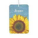 Buscar naturaleza coche accesorios Azul