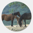 Buscar mustang pegatinas Caballo