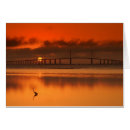 Buscar puente colgante postales Conexión