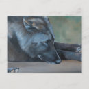 Buscar lobo negro postales Salvaje