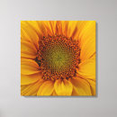 Buscar semilla lienzos Brillante