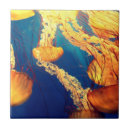 Buscar medusas azulejos Animal