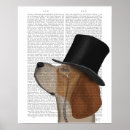 Buscar beagles posters Amantes de los animales