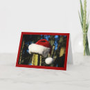 Buscar cactus tarjetas Feliz