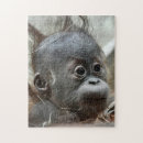 Buscar chimpancé puzzles Bebé