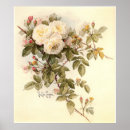 Buscar escalador posters Flores