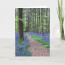Buscar bélgica tarjetas Paisaje