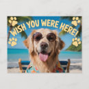 Buscar paraíso hawaiano postales Contenido generativo