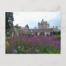 Buscar flor de escocia postales Escote