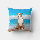 Buscar perro de pitbull cojines Para todos