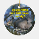 Buscar ardilla divertida adornos Humor