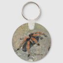 Buscar araña llaveros Naturaleza