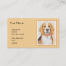 Buscar beagle tarjetas de visita Cachorro