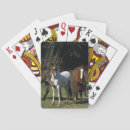 Buscar mustang barajas de cartas Grupo