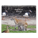 Buscar australia calendarios Canguro