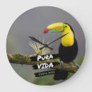 Buscar costa rica relojes de pared Toucan
