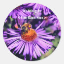 Buscar aster pegatinas Flor