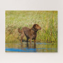 Buscar perro de caza puzzles Perros