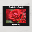 Buscar flores grandes postales Rosa